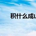 积什么成山是什么成语（积什么成山）