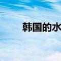 韩国的水果好吃吗（韩国水果贵吗）