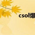 csol爆焰火拳（csol爆焰旋风）