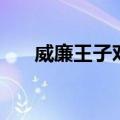 威廉王子对比（威廉王子恨卡米拉吗）