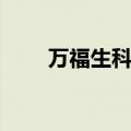 万福生科案例分析论文（万福生科）