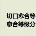 切口愈合等级分类标准 1类切口/其它（切口愈合等级分类）