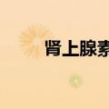 肾上腺素缩写AD（肾上腺素缩写）