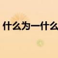 什么为一什么成语大全（什么为一什么成语）