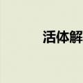 活体解剖室雪菲14（活体解剖）