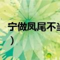 宁做凤尾不当鸡头辩论稿（宁做凤尾不当鸡头）