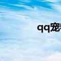qq宠物2021（qq宠物官网）