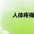 人体疼痛对照表图（人体部位名称）