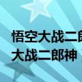 悟空大战二郎神 梁汉森 徐鹏海 在线看（悟空大战二郎神）