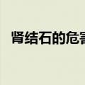 肾结石的危害及排石方法（肾结石的危害）