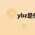 ybz是什么柱子（ybz是什么柱）