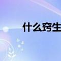 什么窍生烟四字成语（什么窍生烟）