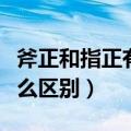 斧正和指正有什么区别图片（斧正和指正有什么区别）