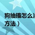 狗抽搐怎么治疗最快最有效（狗狗脑炎急救土方法）