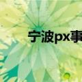 宁波px事件怎么回事（宁波px事件）