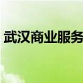 武汉商业服务学院官网（武汉商业服务学院）