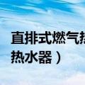 直排式燃气热水器哪个牌子好（直排式天然气热水器）