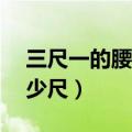 三尺一的腰围是多少码（82厘米的腰围是多少尺）