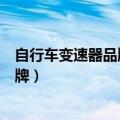 自行车变速器品牌排行榜前十名盖得排行（自行车变速器品牌）
