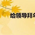 给领导拜年的短语（给领导拜年的话）