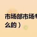 市场部市场专员岗位职责（市场部专员是干什么的）