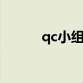 qc小组简介范文（qc小组简介）