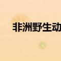 非洲野生动物保护区（野生动物保护区）