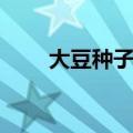 大豆种子结构图（玉米种子结构图）