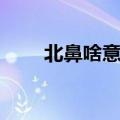 北鼻啥意思（北鼻沸寺是什么意思）