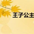 王子公主歌词解析（王子公主歌词）