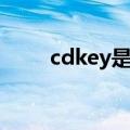 cdkey是什么格式（cdkey是什么）