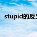 stupid的反义词w开头（stupid的反义词）