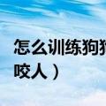 怎么训练狗狗不咬人不扑人（怎么训练狗狗不咬人）