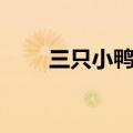 三只小鸭子的故事（小鸭子的故事）