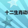 十二生肖动画片1993版（十二生肖动画）