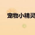 宠物小精灵钻石图鉴（宠物小精灵钻石）