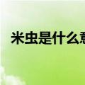 米虫是什么意思网络语（米虫是什么意思）