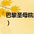巴黎圣母院内容梗概?（巴黎圣母院内容梗概）