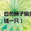 白色狮子猫多少钱一只幼崽（纯白狮子猫多少钱一只）