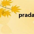 prada衣服男装（prada衣服）