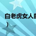 白老虎女人的命运怎么样（白老虎女人的命运）