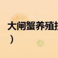 大闸蟹养殖技术与管理方法（大闸蟹养殖技术）