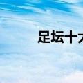 足坛十大美男子（足坛十大美男）