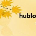 hublot.（hublot是什么牌子）