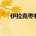 伊拉克枣有什么营养价值（伊拉克枣）