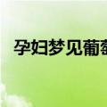孕妇梦见葡萄是生女孩吗（孕妇梦见葡萄）