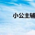 小公主辅助官方网站（小公主辅助）