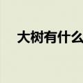 大树有什么作用绘画（大树有什么作用）