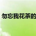 勿忘我花茶的搭配与功效大全（勿忘我花茶）