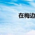 在梅边歌曲视频（在梅边铃声）